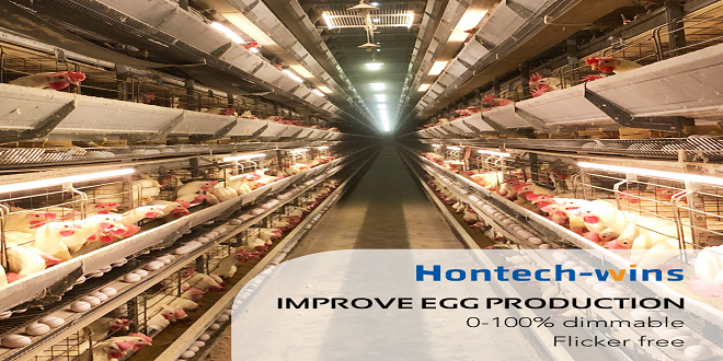 Choosing The Best Poultry House Lighting System